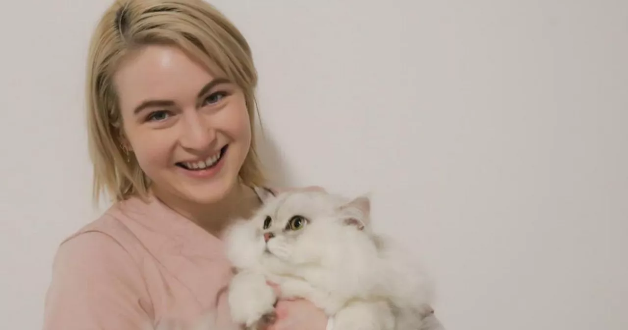 Scotland's first ever cat grooming salon coming to Glasgow and the name is fabulous