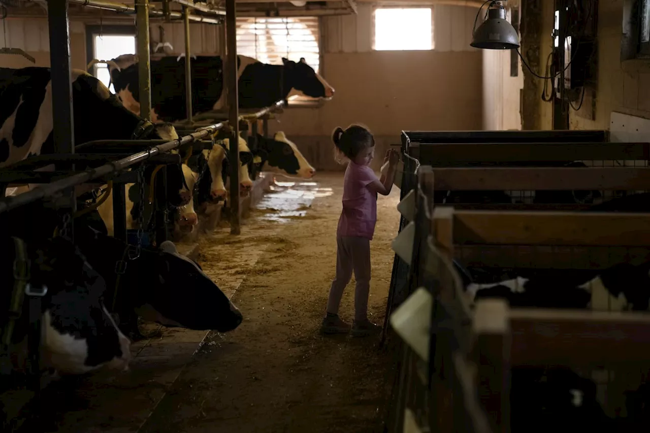 Female-led fund raises $51-million to transform Canadian agriculture