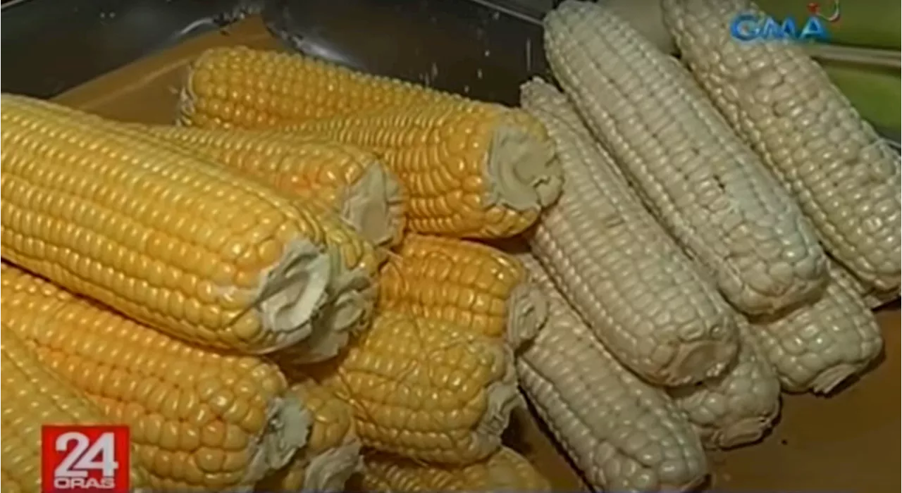 DA, San Miguel team up to connect corn farmers with buyers