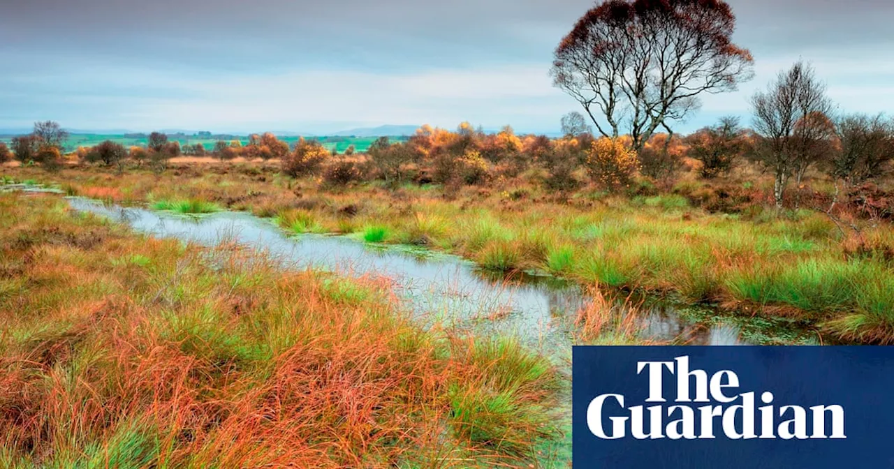 ‘We are resting on our laurels’: Scotland faces significant challenge to protect its environment