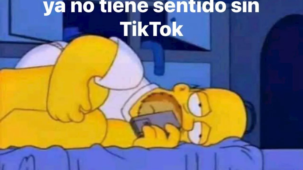 Estos son los MEMES más virales de TikTok tras dejar de funcionar en Estados Unidos