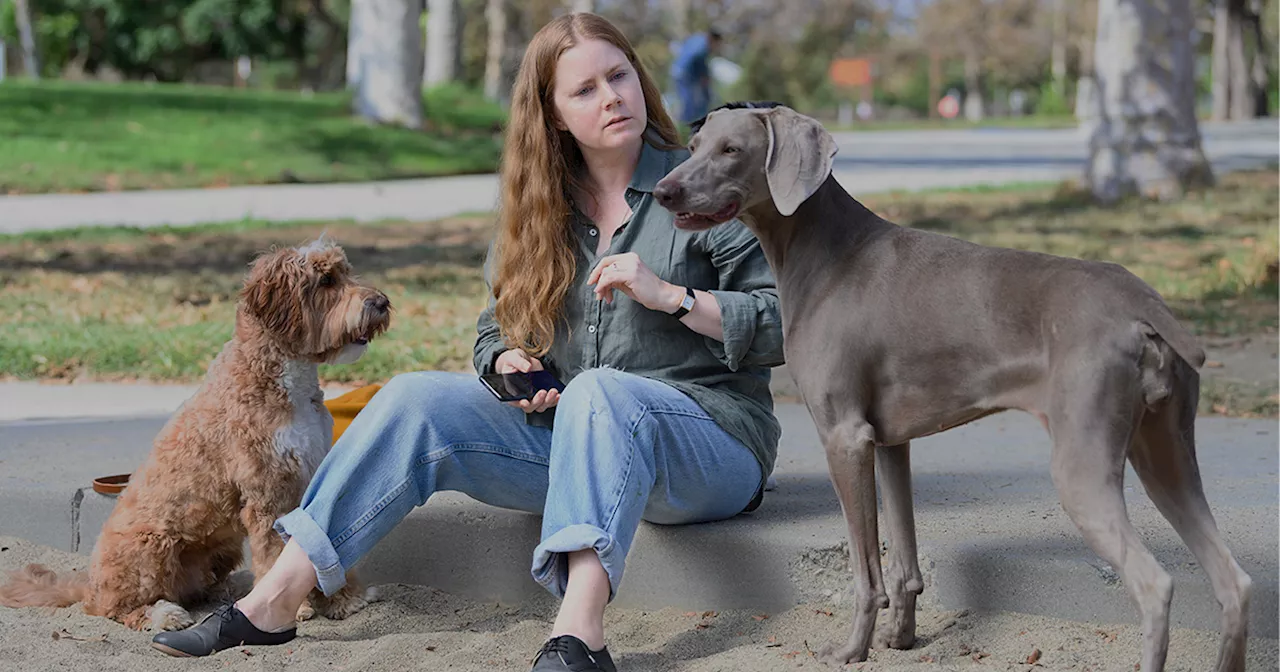 Amy Adams in 'Nightbitch': «Porto in scena il lato oscuro della maternità»