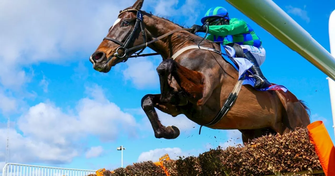 Appreciate It relishes ground conditions to bridge two-year gap and land Thurles feature