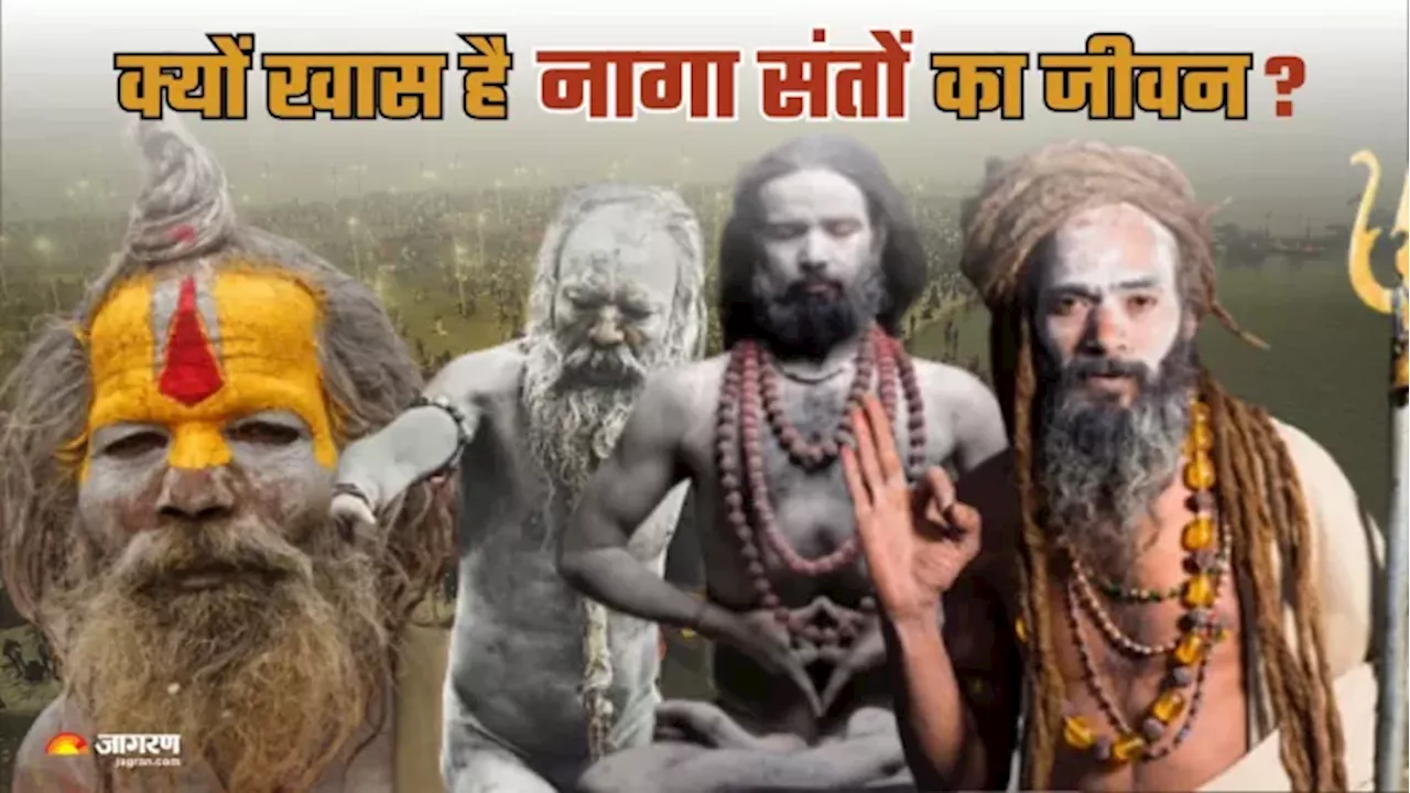 भस्‍म रमाए नागा संतों का जीवन क्‍यों होता है इतना खास? तप में रहेंगे लीन, मौनी अमावस्‍या पर लगाएंगे पहली डुबकी