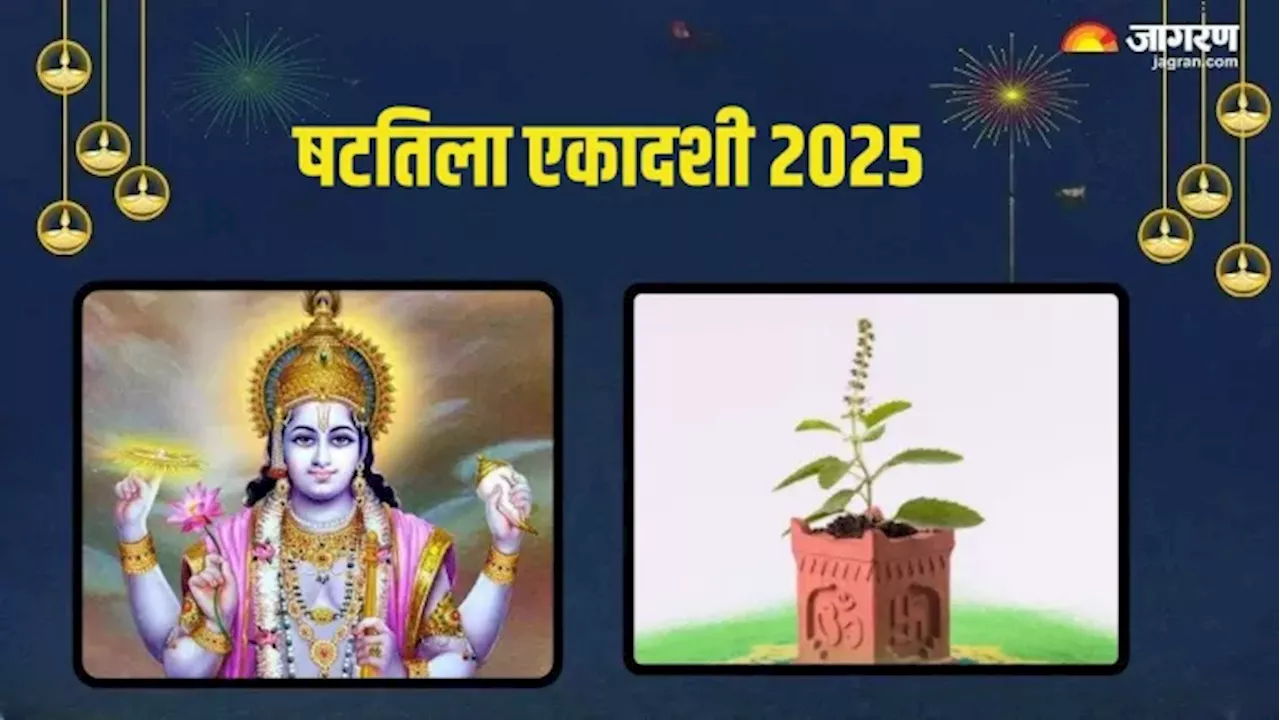 Shattila Ekadashi 2025: षटतिला एकादशी पर ऐसे करें तुलसी की पूजा, वास्तु दोष की समस्या जल्द होगी खत्म