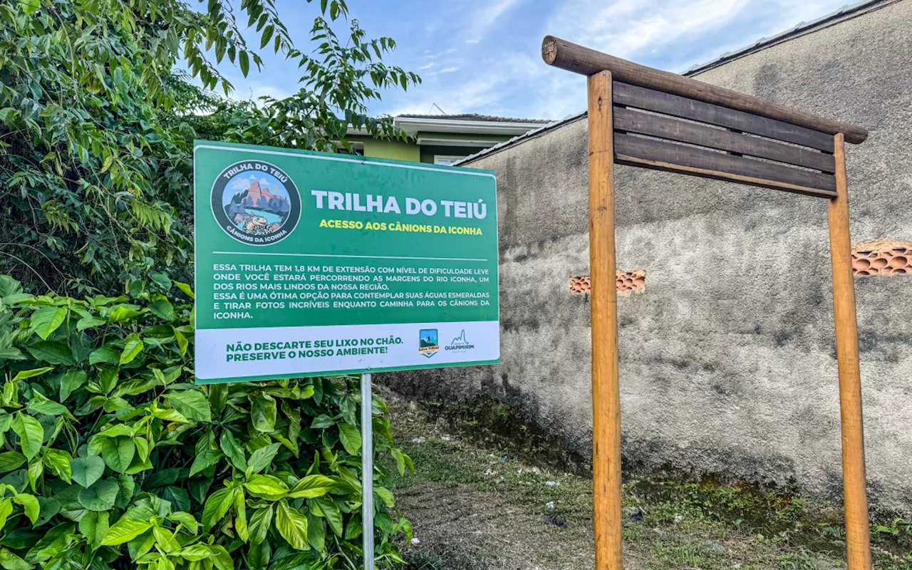 Trilha do Teiú: beleza e contemplação em Guapimirim