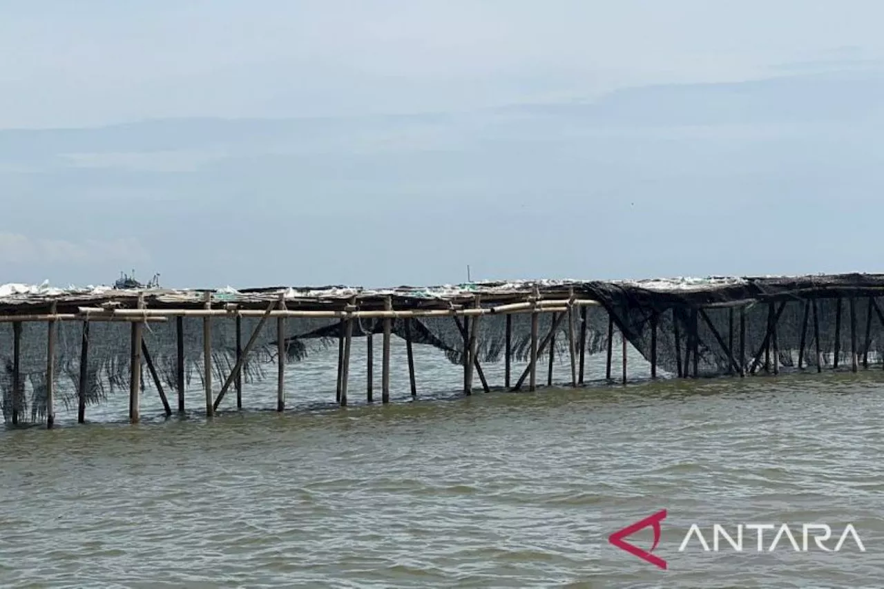 Oh Ternyata Ini Biang Kerok Pemasangan Pagar Laut Misterius