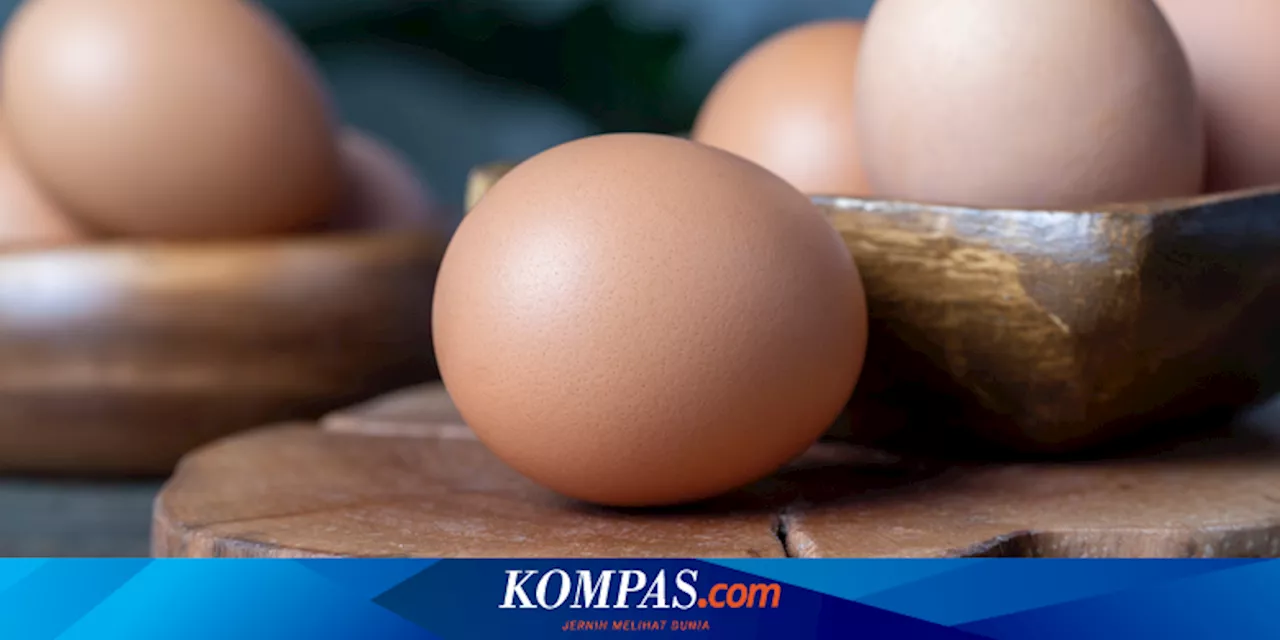 Temuan Telur Langka Berbentuk Bulat Sempurna di Inggris, Bakal Dilelang Rp 3,9 Juta