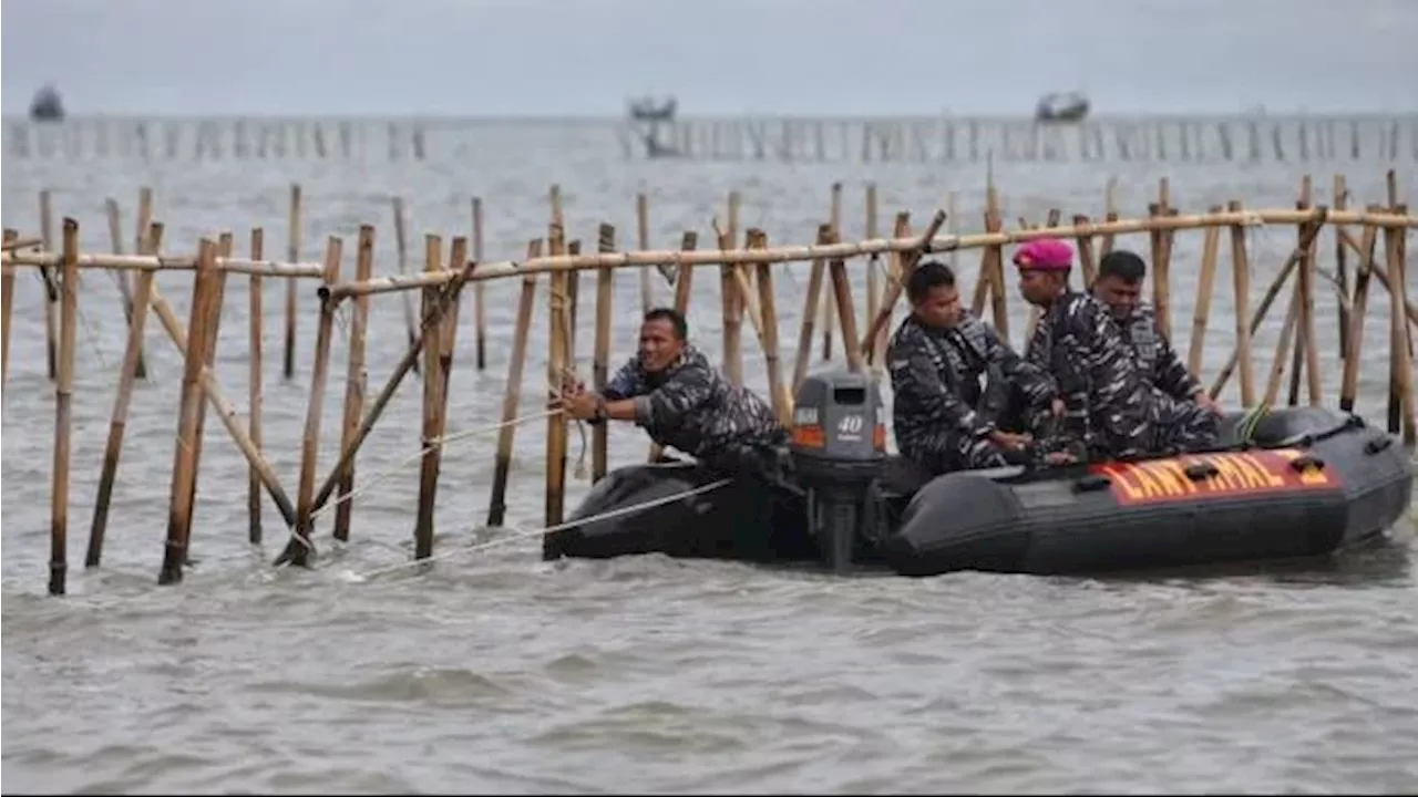 Pembongkaran Pagar Laut di Tangerang, TNI AL: Lebih Mudah Menanam daripada Mencabut