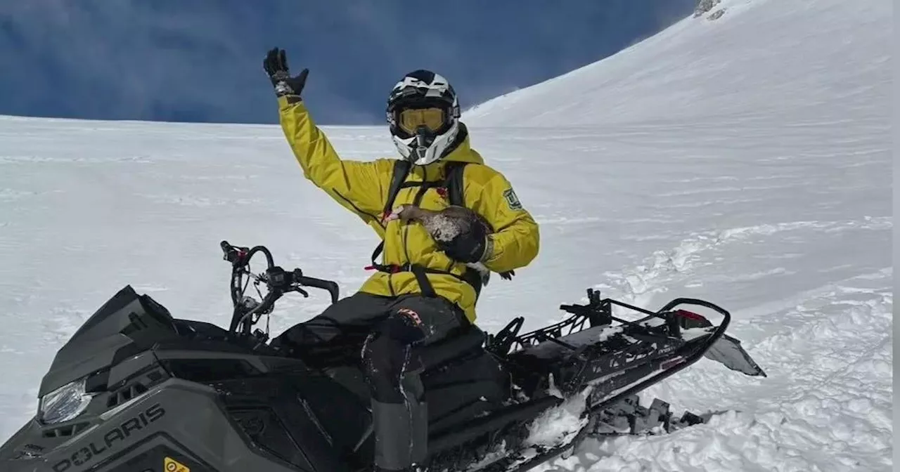 Forest ranger rescues goose 'in rough shape' from Mount Shasta during routine patrol