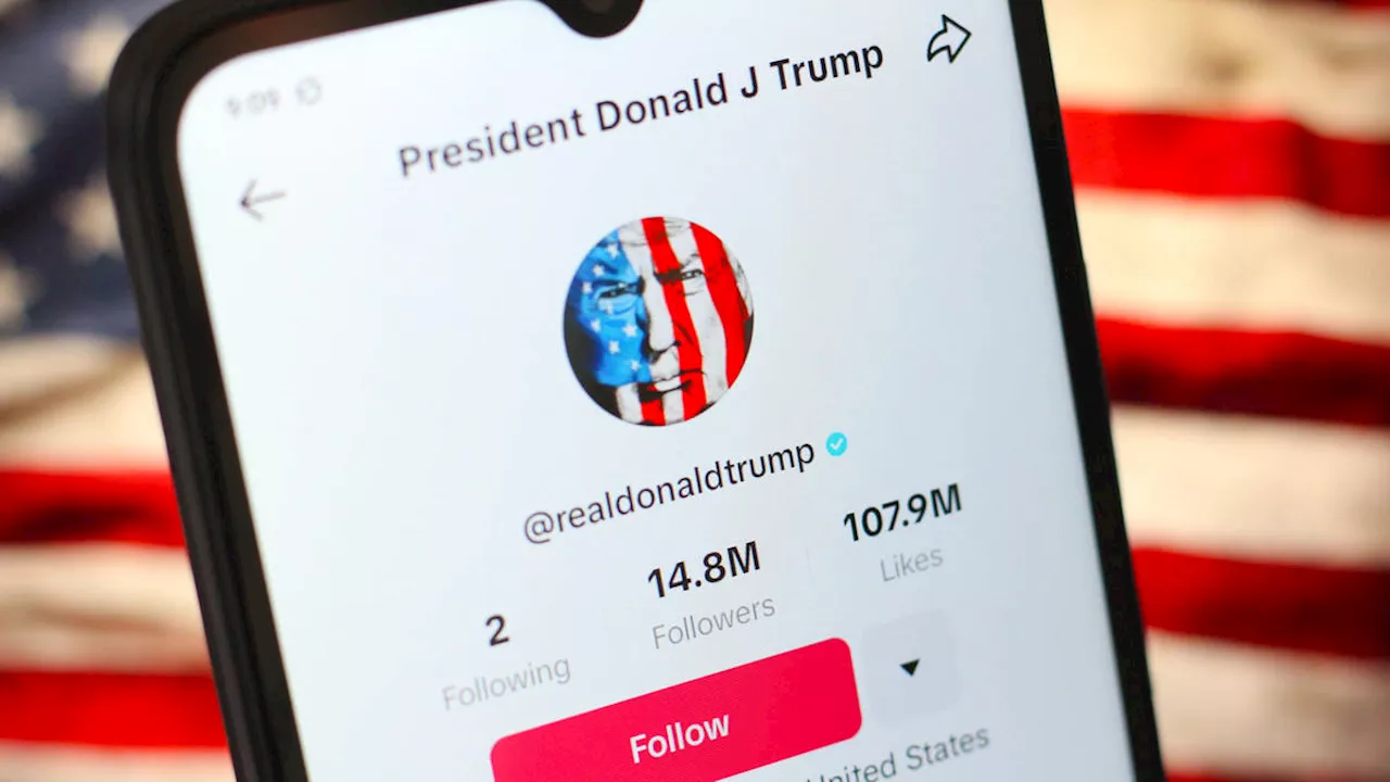 TikTok coming back online for US users after Trump delays ban and proposes US partial ownership