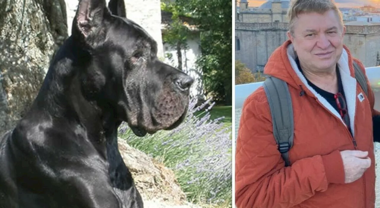 Patrizio Donati, veterinario trovato morto: «Sbranato dai suoi cinque alani in casa». L'orrore scoperto dalla