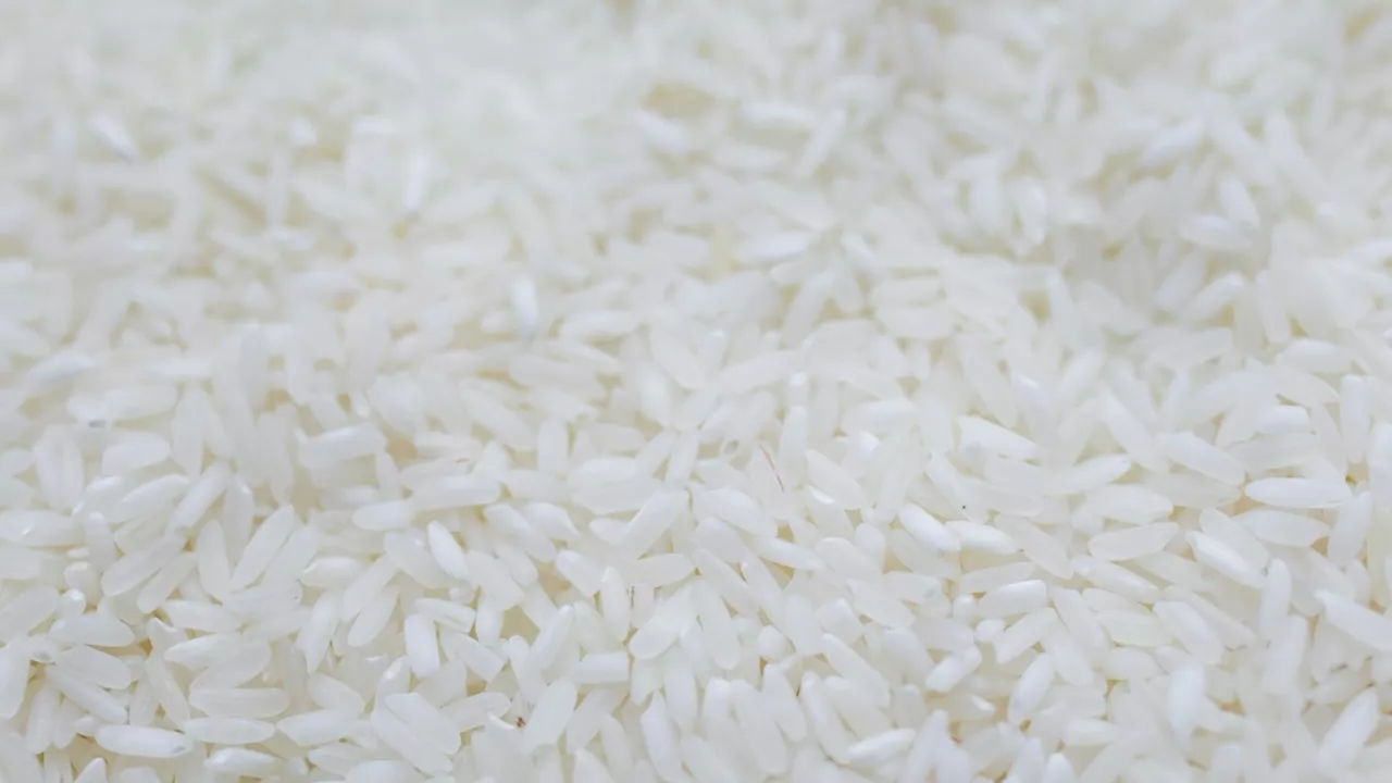 Adieu les repas ratés : ce cuiseur à riz Xiaomi est l’allié ultime de votre cuisine à moins de 60 euros