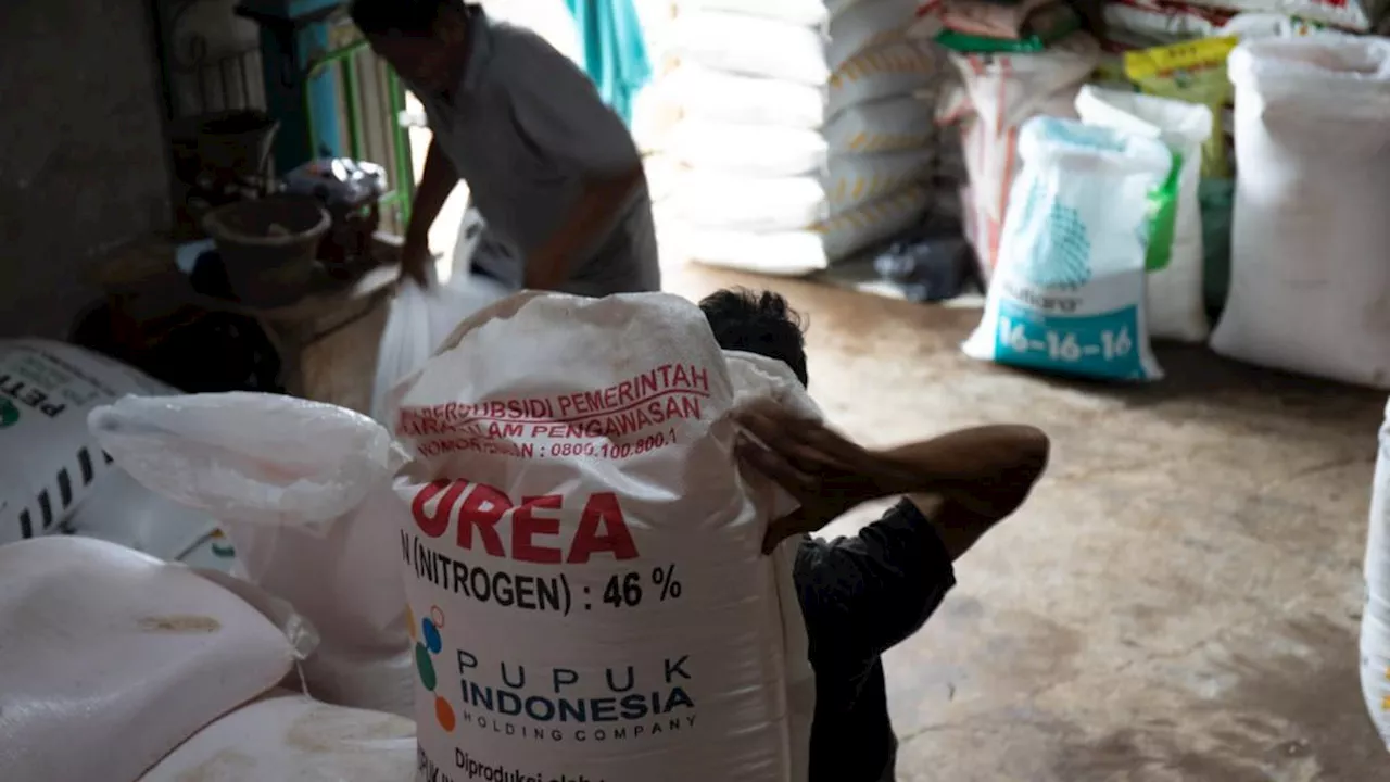 Awas, Mainkan Harga Eceran Pupuk Subsidi Terancam Denda Rp 1 Miliar