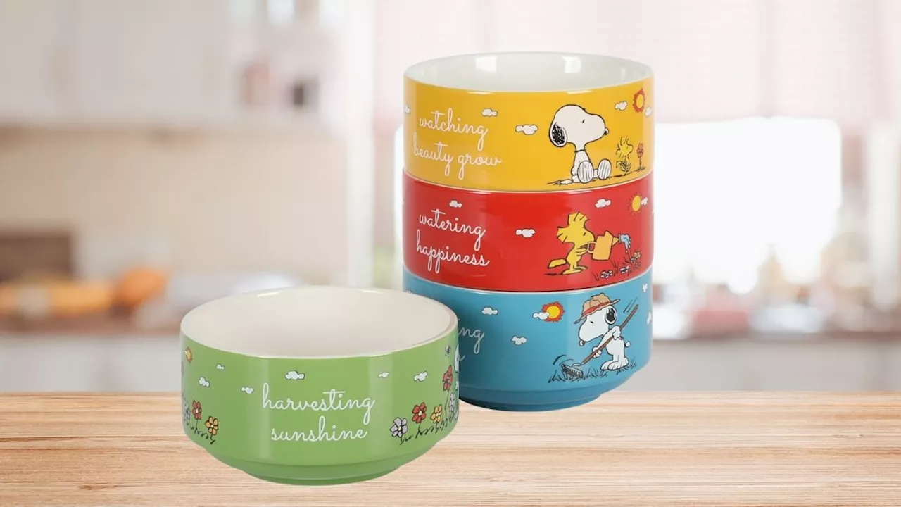 El producto de Snoopy más vendido en Amazon: Cuesta menos de 560 pesos