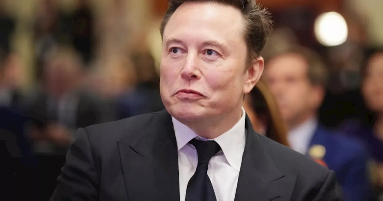 Elon Musk teases return of Vine app following TikTok ban