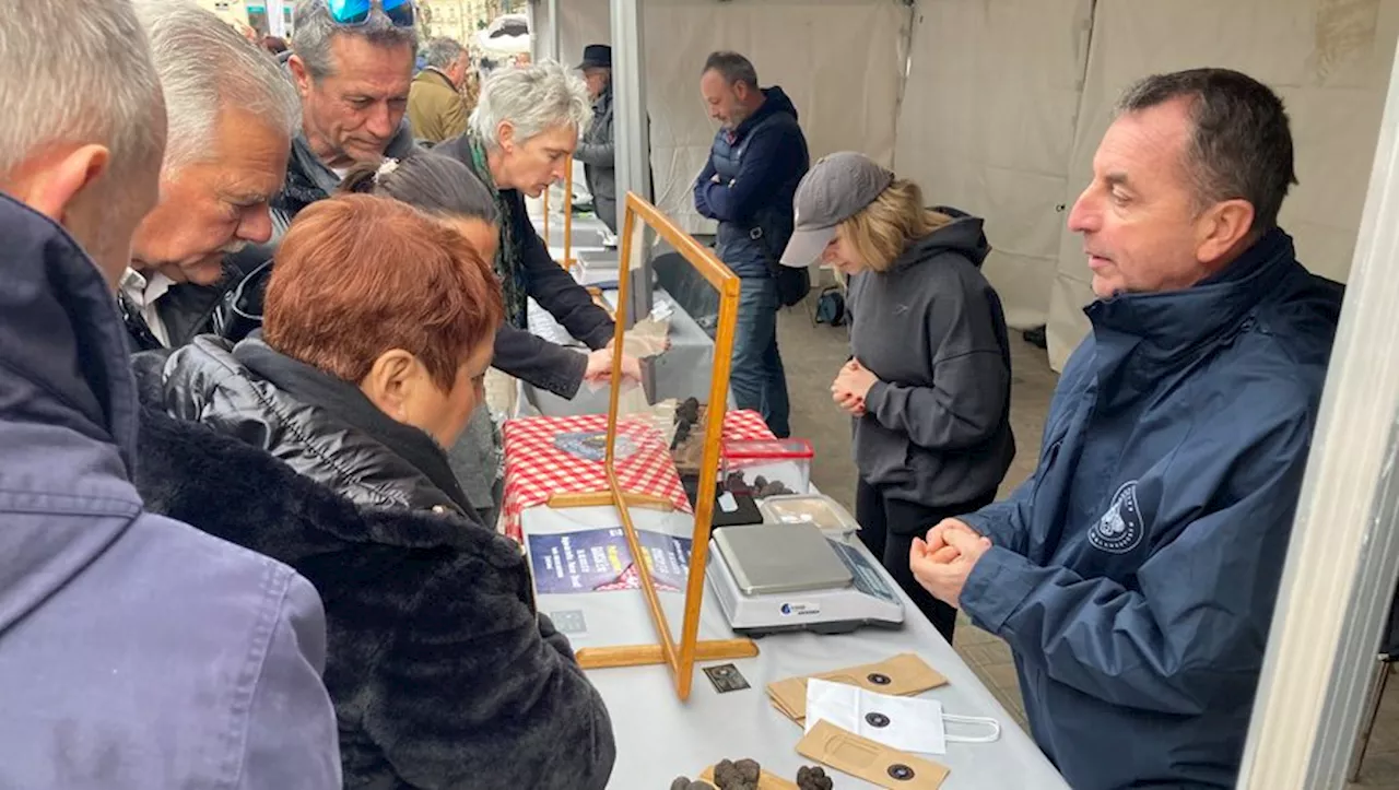 La truffe et son entêtant parfum se sont invités devant les Halles de Sète