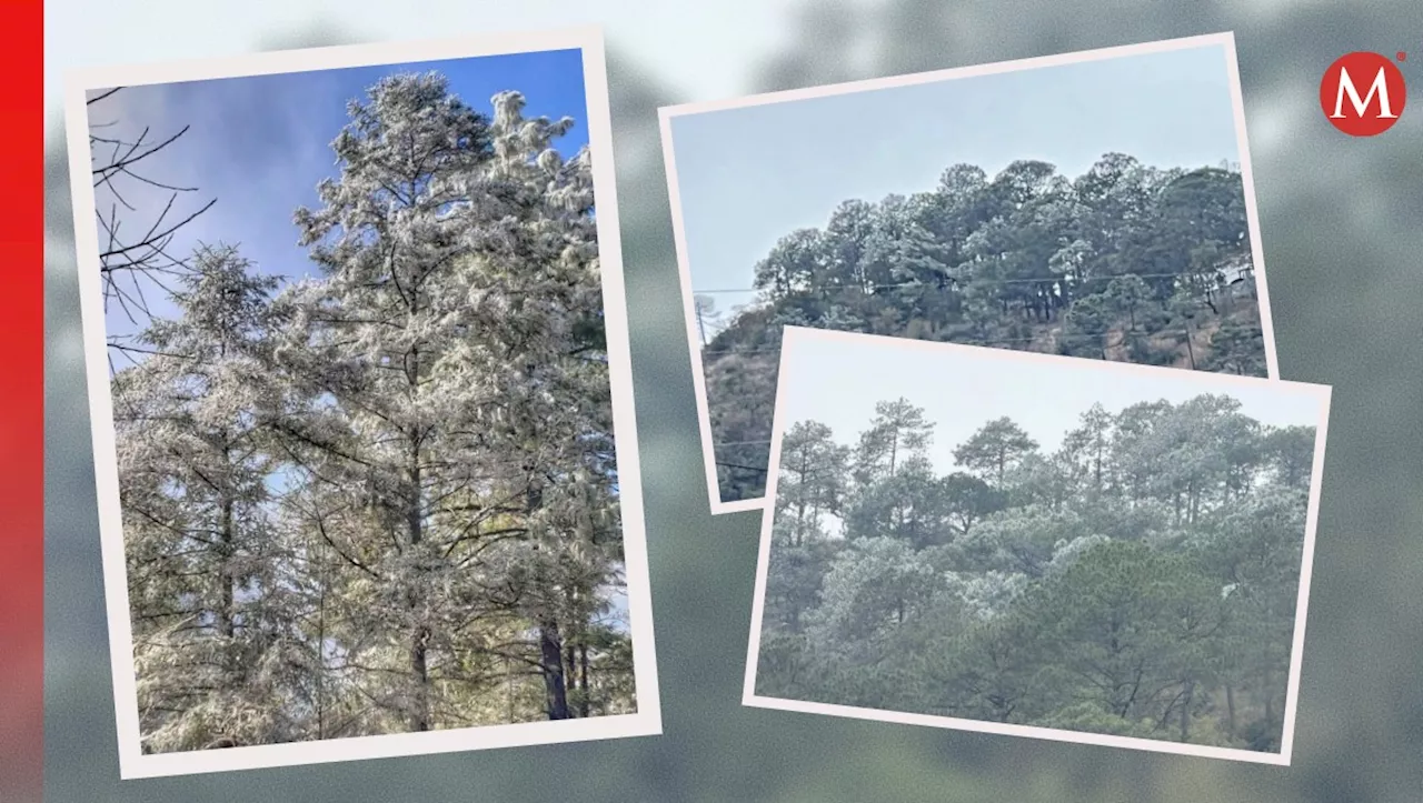 Sierra de Santiago, Nuevo León, comienza a pintarse de blanco