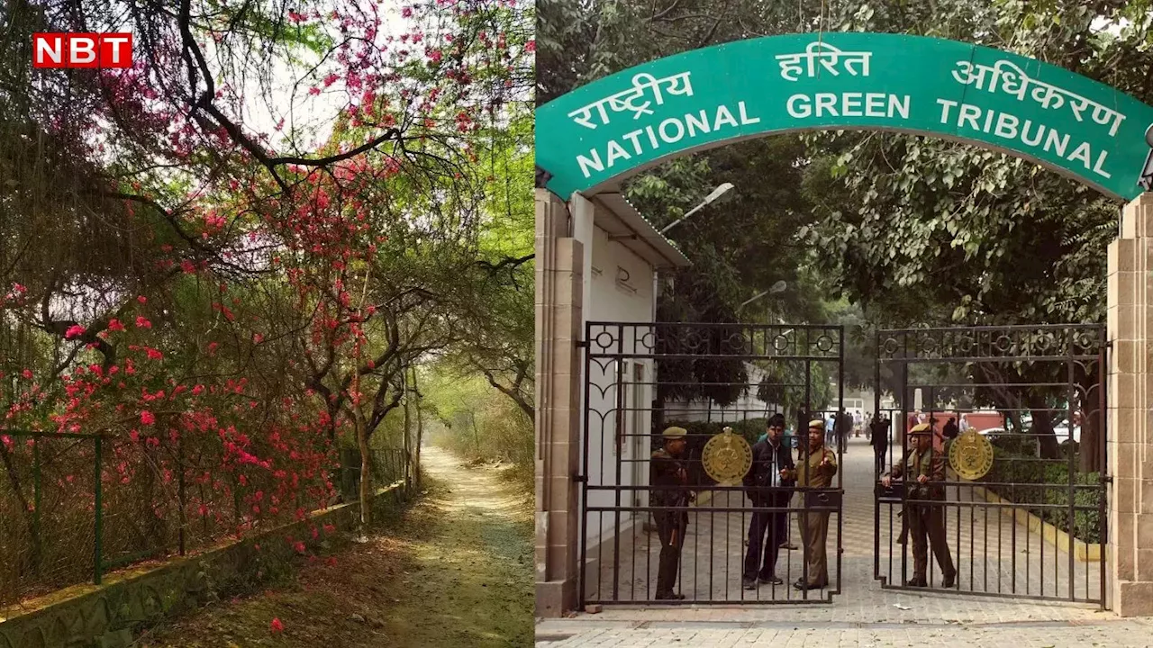 रिज सुरक्षा को लेकर दिल्ली सरकार पर लग गया जुर्माना,एनजीटी ने आदेश की अनदेखी करने पर लिया ऐक्शन