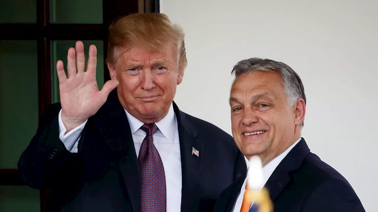 'Ähnlich denkende Psychopathen': Orban zeigt Trump, wie ein Staatsumbau gehen kann