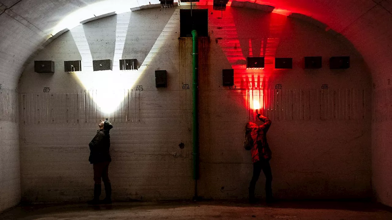 Artenschutz in Beton: Fledermäuse lieben alte Bunker für die Winterruhe