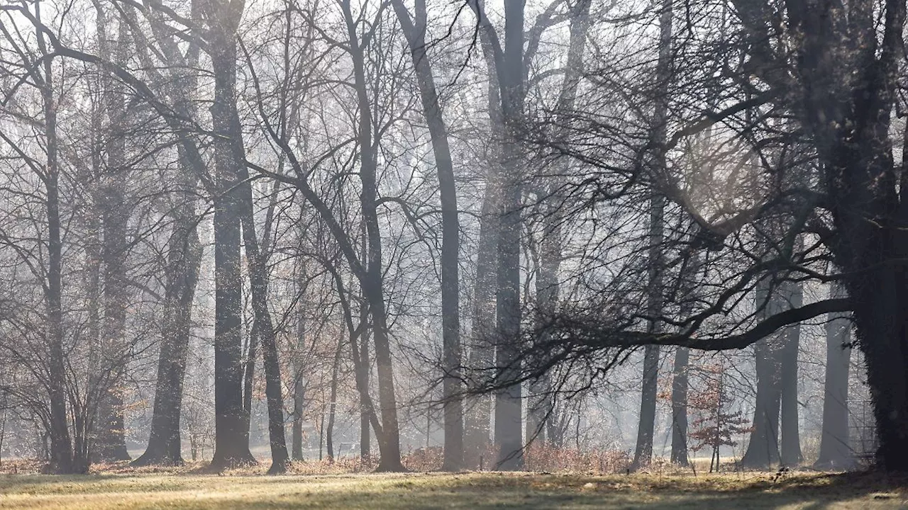 Berlin & Brandenburg: Sonniges Winterwetter in Berlin und Brandenburg