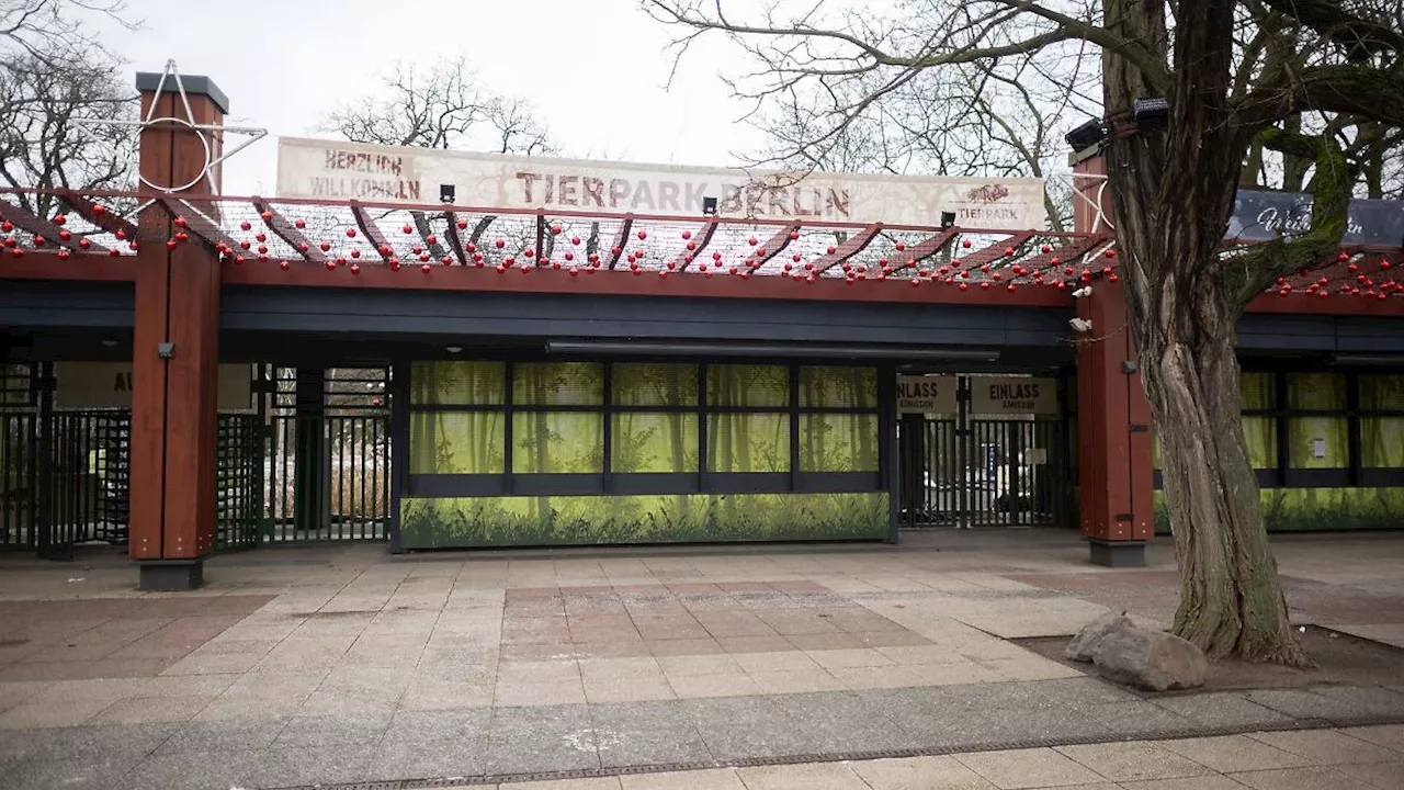 Berlin & Brandenburg: Tests auf Maul- und Klauenseuche im Tierpark Berlin negativ