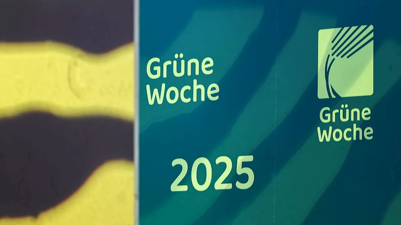 Niedersachsen & Bremen: Nordwesten räumt beim Deutschen Jugend-Naturschutzpreis ab