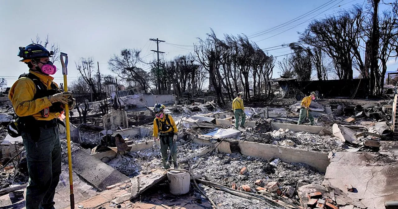 «Extremes Feuerwetter» bedroht Los Angeles schon wieder