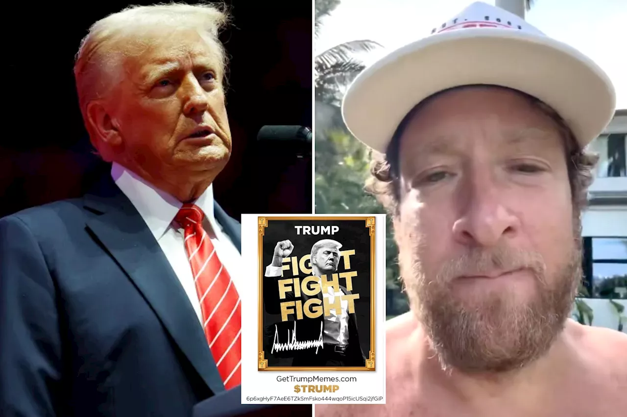 Dave Portnoy says he made $1 million on Trump coin — immediately bet it on Bills to win Super Bowl 2025