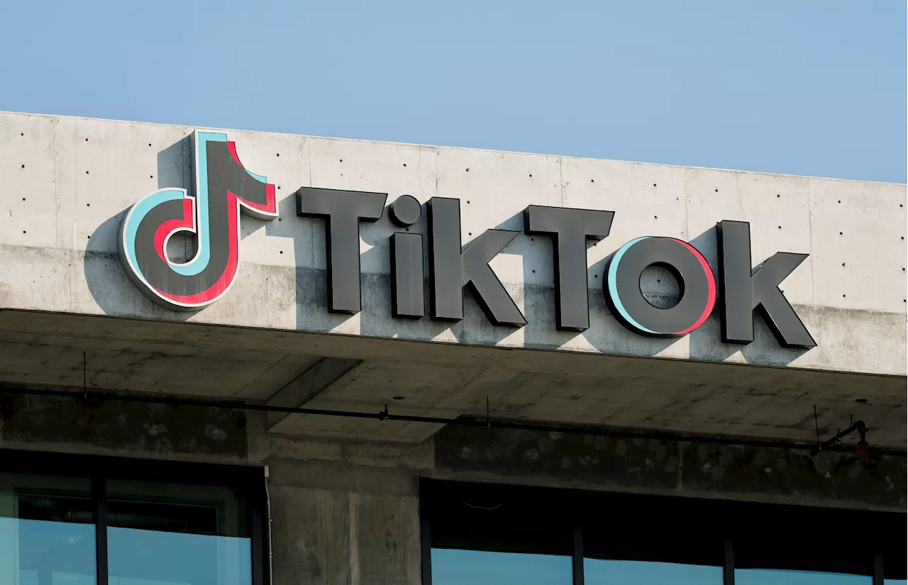 TikTok to go dark for 170M US users after app announces services will be 'temporarily unavailable'