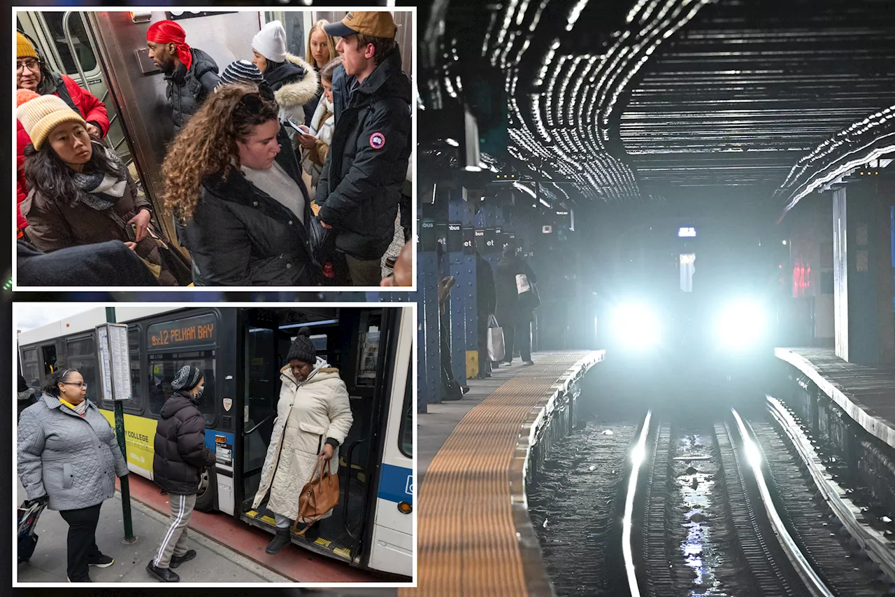 Why straphangers are scared to tell noisy commuters to turn down their their phones: 'Behavior backed by the threat of violence'