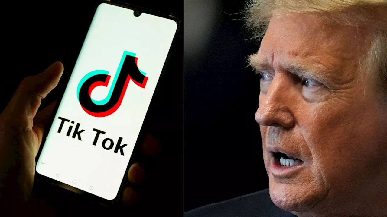 TikTok annonce son retour aux États-Unis: voici comment Donald Trump a retourné la situation