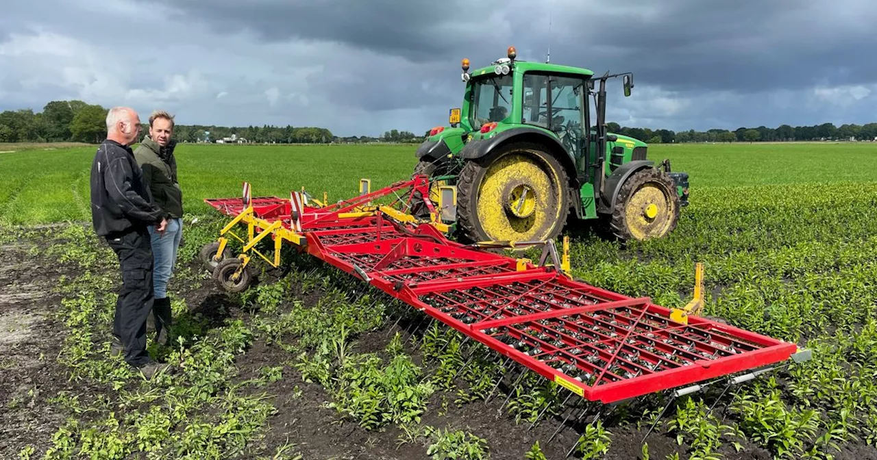 Coalitie provincie vertrouwt verduurzamingsplan lelietelers, oppositie tegen