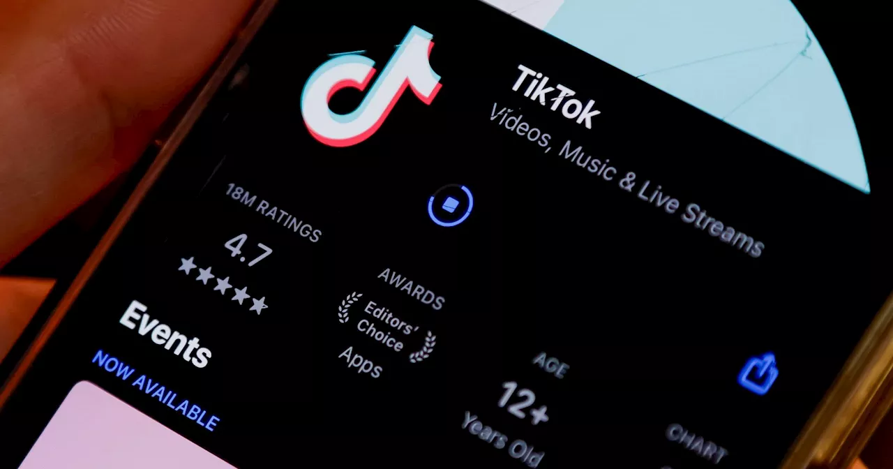 'Desculpe,TikTok não está disponível': rede social está oficialmente suspensa nos Estados Unidos