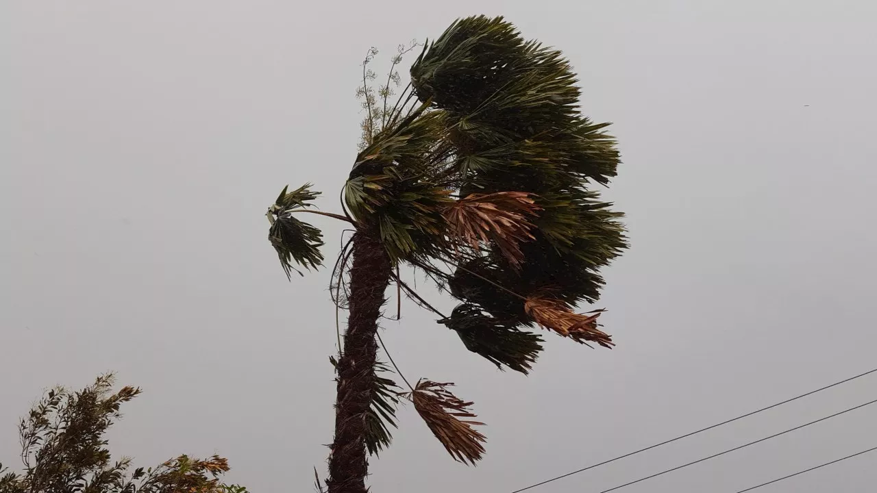 One state on alert for ‘gale-force winds, heavy rain’ as tropical cyclone forms off coast