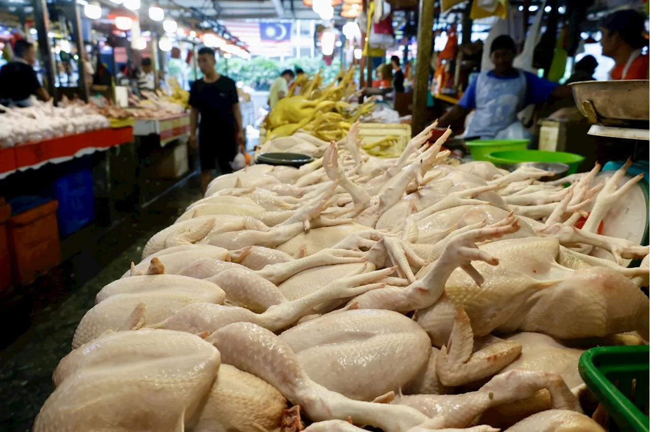 Sabah govt urged to address high chicken prices