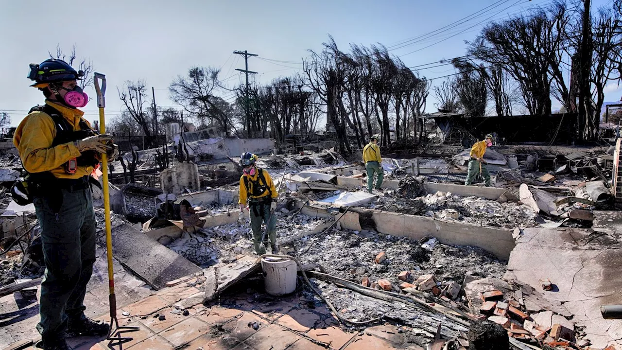 Brände in Kalifornien: 'Extremes Feuerwetter' bedroht Los Angeles schon wieder