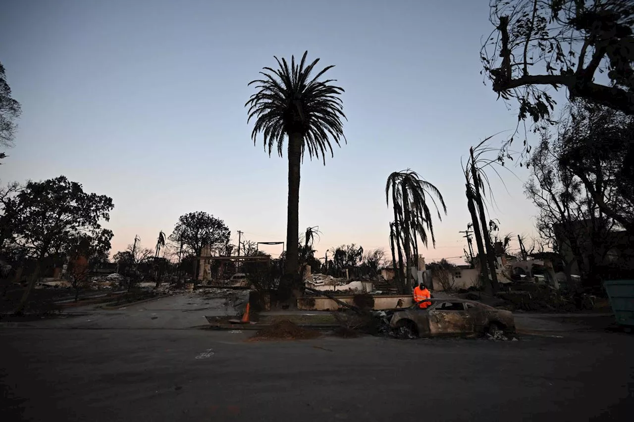 Incendies à Los Angeles : accalmie temporaire des vents, Donald Trump attendu sur place la semaine prochaine