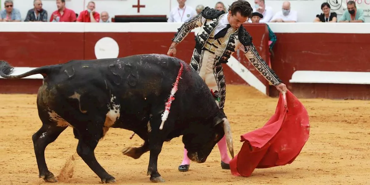 Novillada : le Landais Juan Molas, le retour surprise lors de la feria de Pâques à Arles