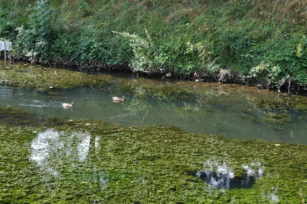 Une voiture chute dans le canal à Périgueux, un homme évacué en urgence absolue