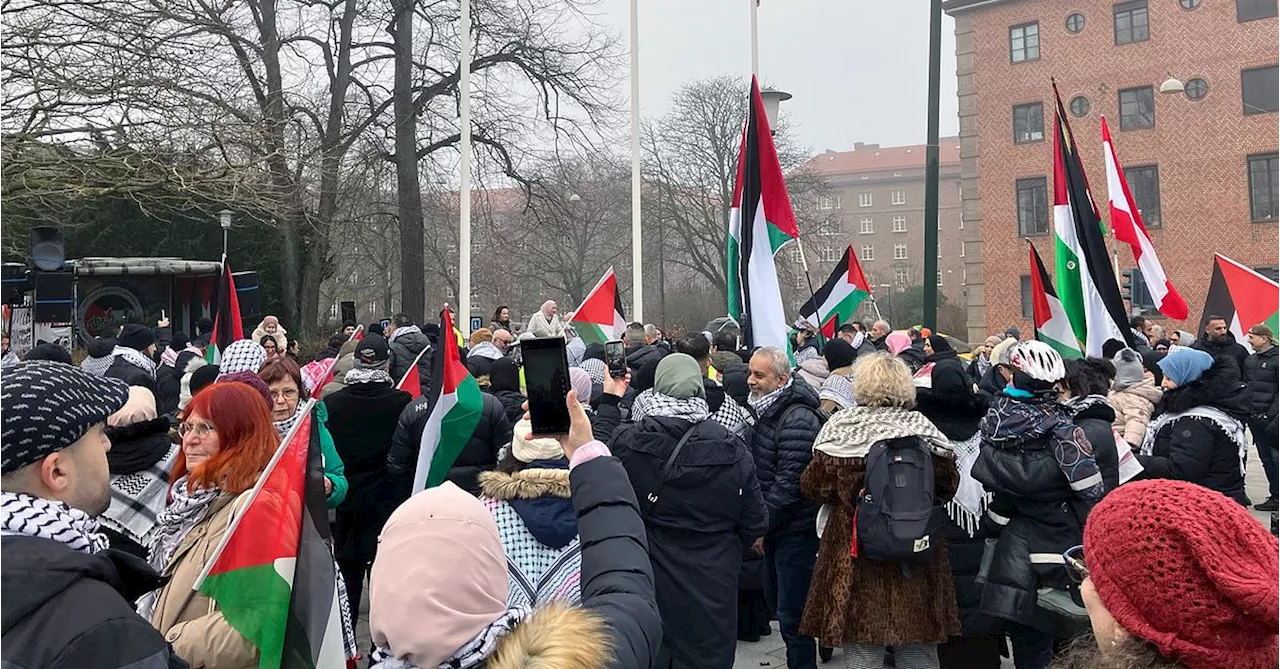 Här firar Malmöbor vapenvilan mellan Hamas och Israel