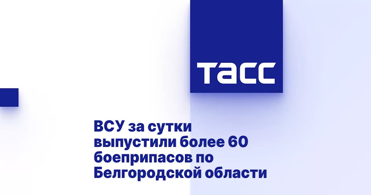 ВСУ за сутки выпустили более 60 боеприпасов по Белгородской области