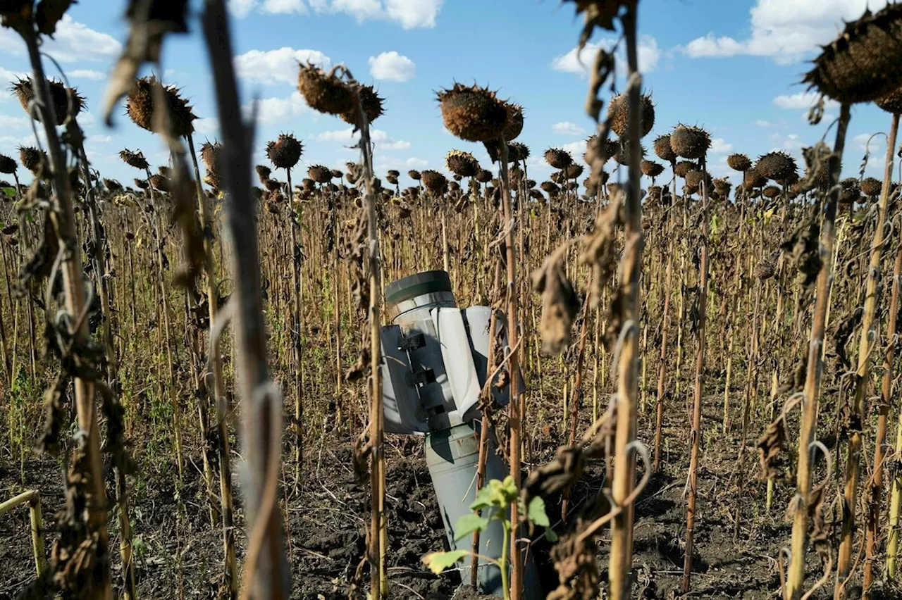 Krieg und Frieden in der Ukraine: Was vom Pazifismus übrig bleibt