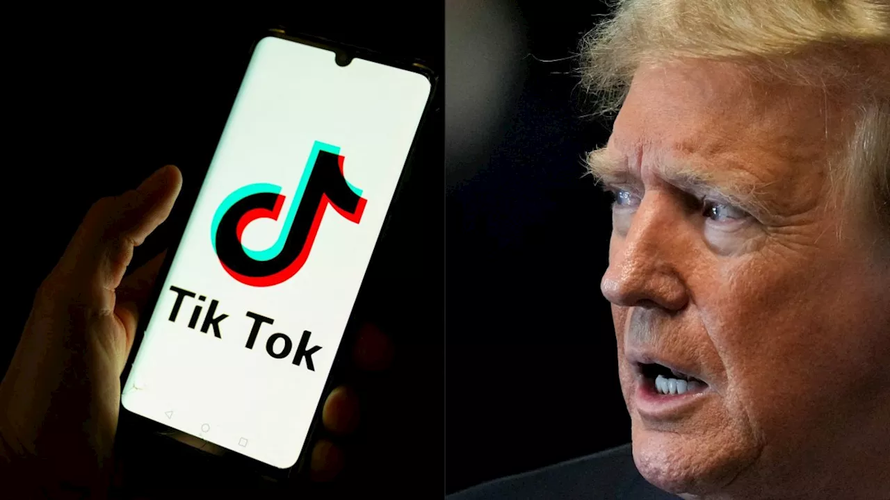 Trump says he will issue order pausing US TikTok ban