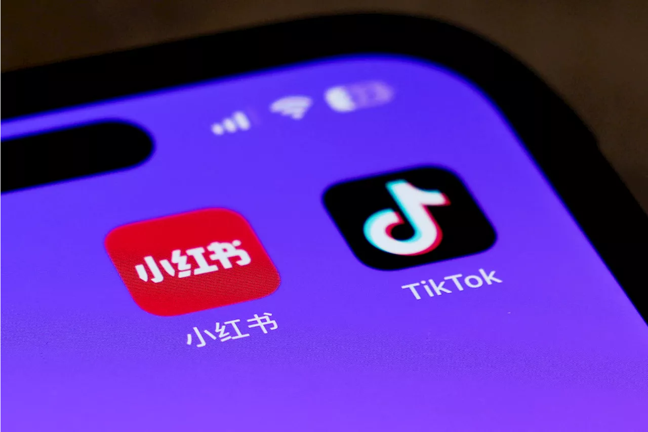 TikTok restablecerá la app en EEUU tras la promesa de Trump de buscar un acuerdo