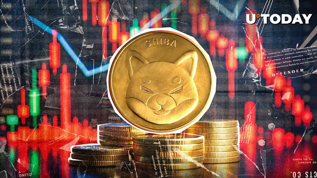 Shiba Inu (SHIB): Out of Top 15 as Price Plummets