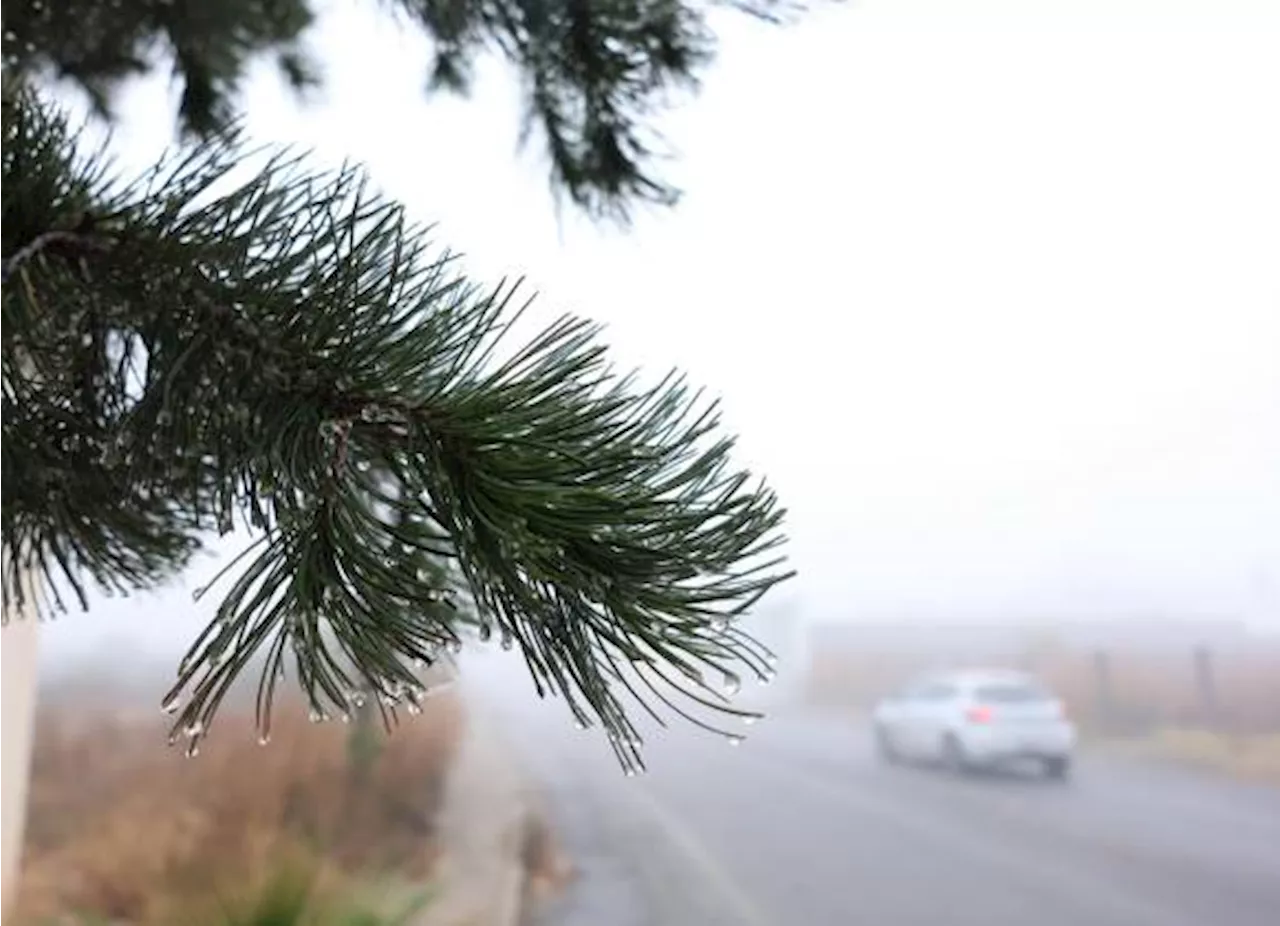 Aún falta la mitad de frentes fríos para que culmine temporada invernal: PC de Coahuila