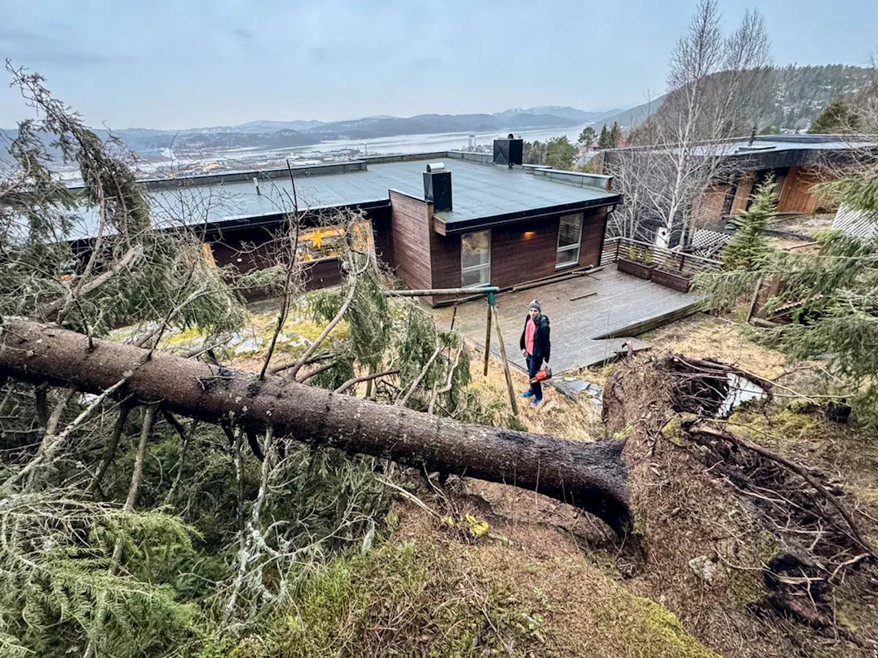 Kunne knust huset: - Vi har vært veldig heldige