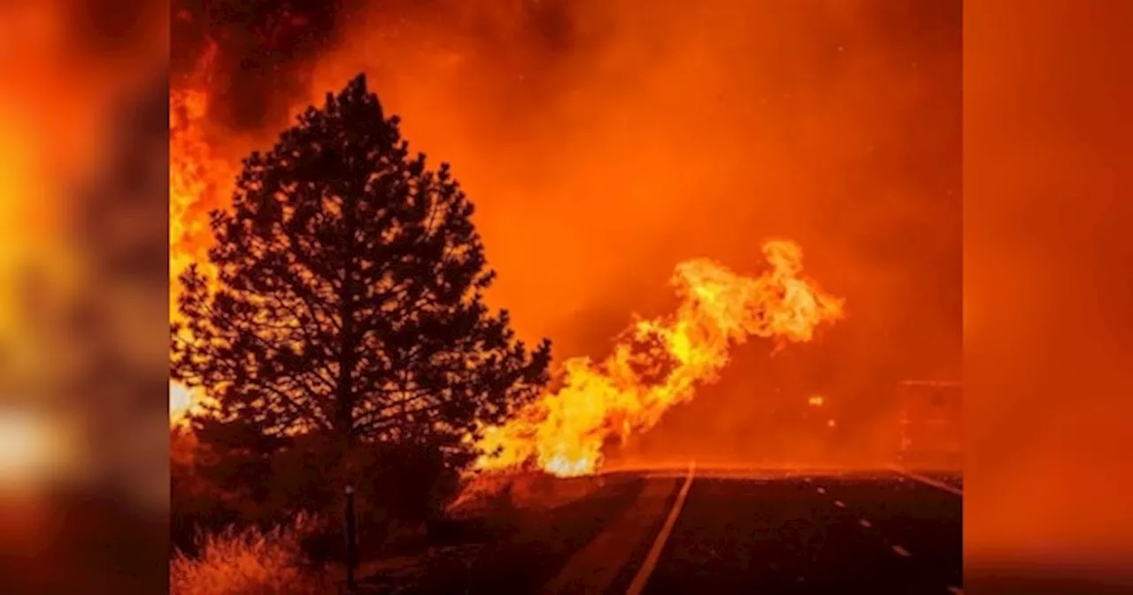 Los Angeles Wildfire: खंडहर बने घर के बीच फायर फाइटर को मिली अपनी खोई हुई वेडिंग रिंग, इमोशनल कर देगी कहानी